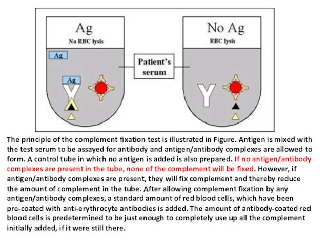 The principle of the complement fixation test is illustrated in
