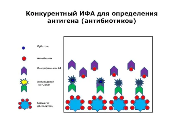 Конкурентный ИФА для определения антигена (антибиотиков) Конъюгат АБ-носитель Субстрат Антибиотик Специфические АТ Антивидовой конъюгат