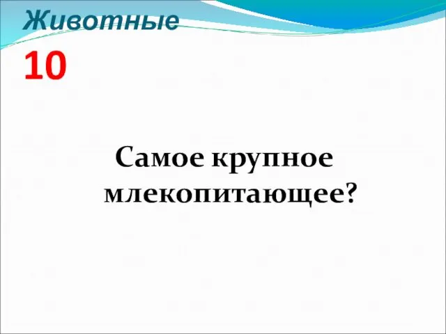 Животные 10 Самое крупное млекопитающее?