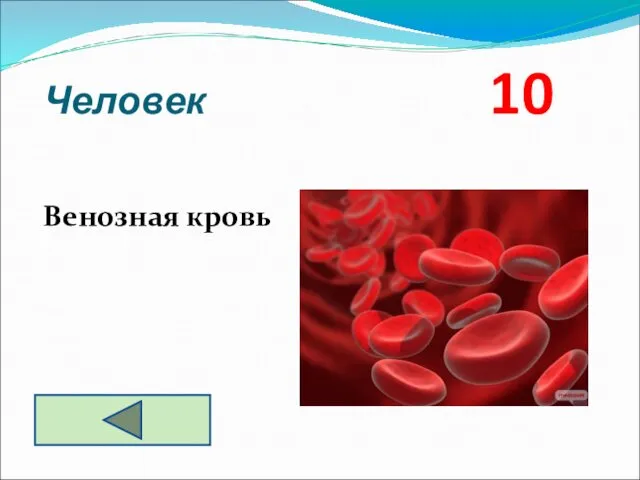 Человек 10 Венозная кровь