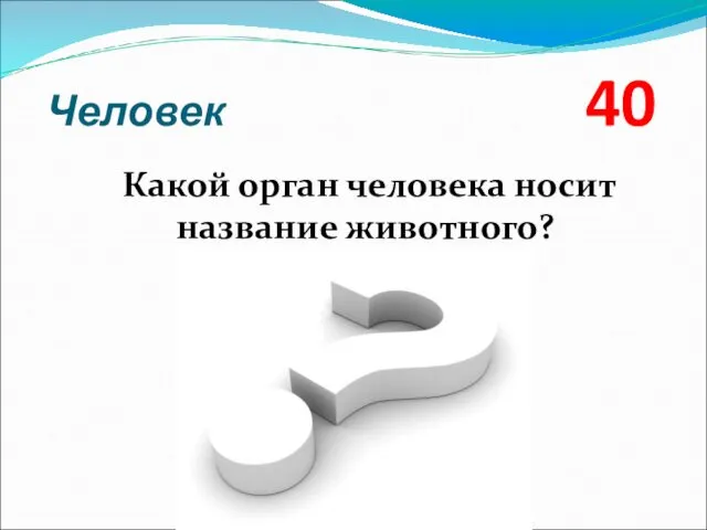 Человек 40 Какой орган человека носит название животного?