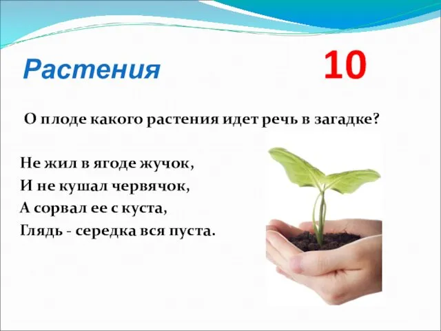 Растения 10 О плоде какого растения идет речь в загадке?