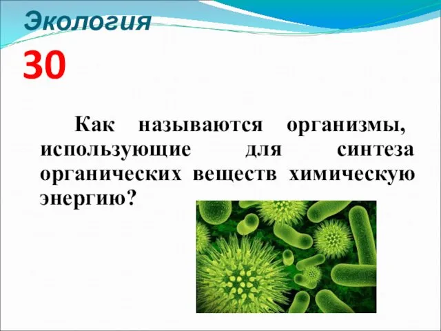 Экология 30 Как называются организмы, использующие для синтеза органических веществ химическую энергию?