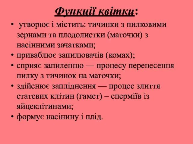 Функції квітки: утворює і містить: тичинки з пилковими зернами та