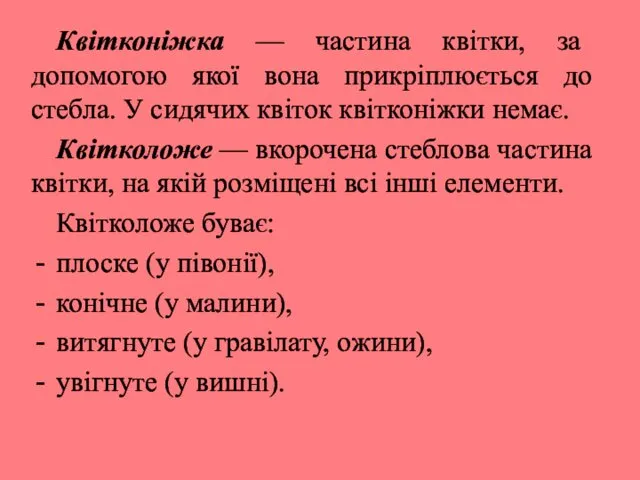 Квітконіжка — частина квітки, за допомогою якої вона прикріплюється до