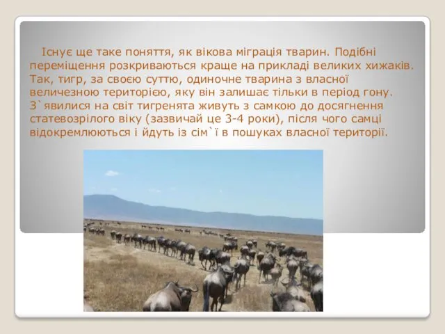 Існує ще таке поняття, як вікова міграція тварин. Подібні переміщення