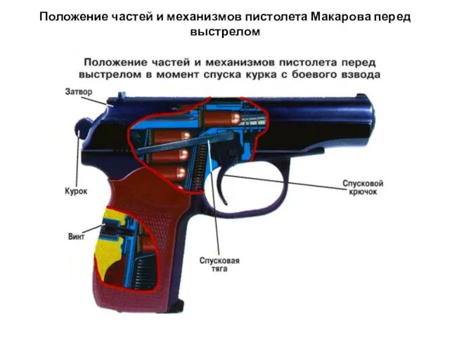 Положение частей и механизмов пистолета Макарова перед выстрелом