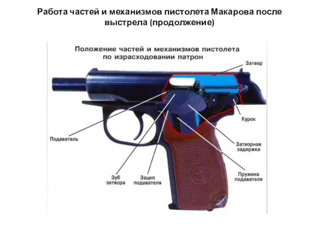 Работа частей и механизмов пистолета Макарова после выстрела (продолжение)