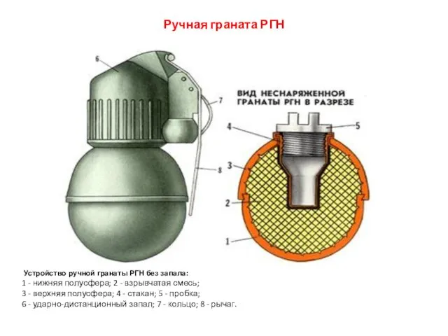 Ручная граната РГН Устройство ручной гранаты РГН без запала: 1