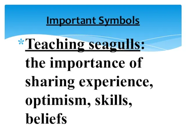 Teaching seagulls: the importance of sharing experience, optimism, skills, beliefs Important Symbols