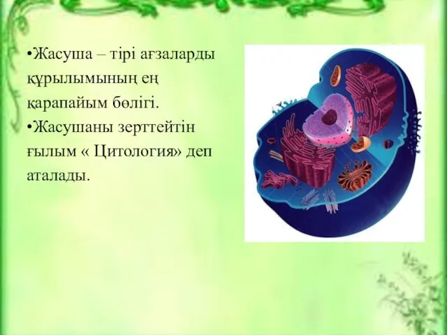 •Жасуша – тірі ағзаларды құрылымының ең қарапайым бөлігі. •Жасушаны зерттейтін ғылым « Цитология» деп аталады.