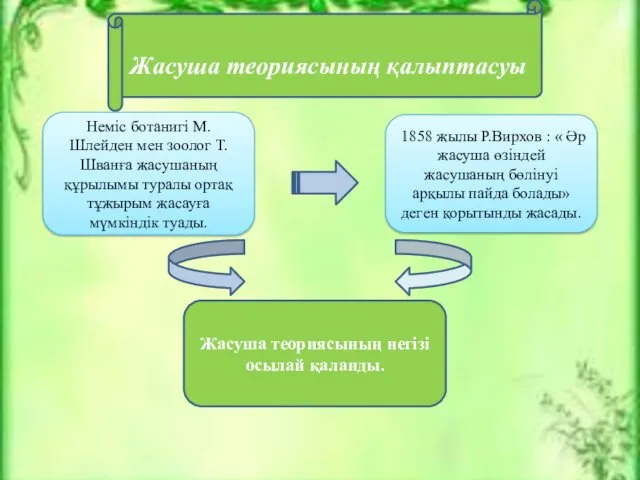 Жасуша теориясының қалыптасуы Неміс ботанигі М.Шлейден мен зоолог Т.Шванға жасушаның