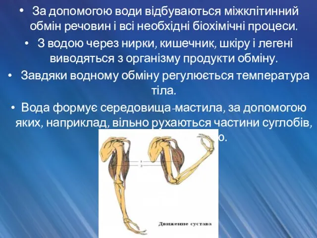 За допомогою води відбуваються міжклітинний обмін речовин і всі необхідні