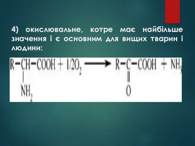 4) окислювальне, котре має найбільше значення і є основним для вищих тварин і людини: