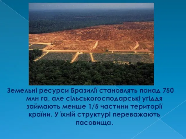 Земельні ресурси Бразилії становлять понад 750 млн га, але сільськогосподарські