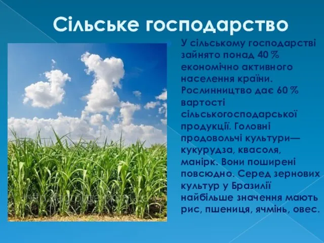 Сільське господарство У сільському господарстві зайнято понад 40 % економічно