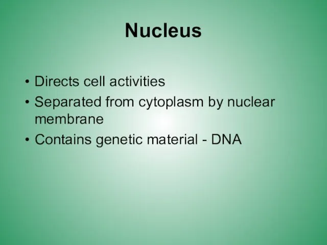 Nucleus Directs cell activities Separated from cytoplasm by nuclear membrane Contains genetic material - DNA