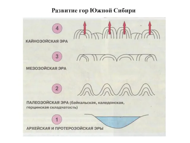 Развитие гор Южной Сибири