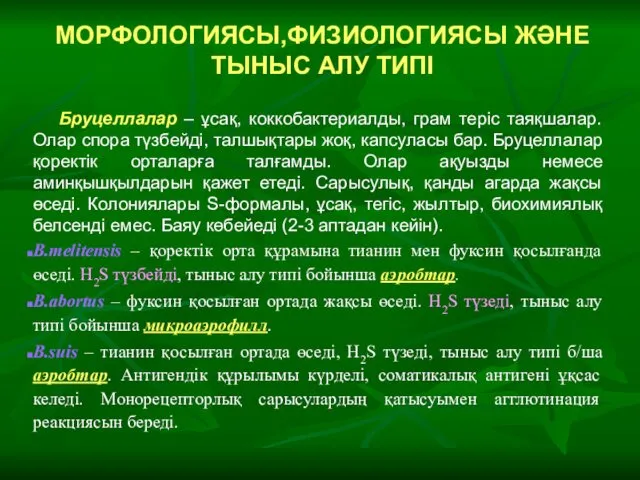 МОРФОЛОГИЯСЫ,ФИЗИОЛОГИЯСЫ ЖӘНЕ ТЫНЫС АЛУ ТИПІ Бруцеллалар – ұсақ, коккобактериалды, грам