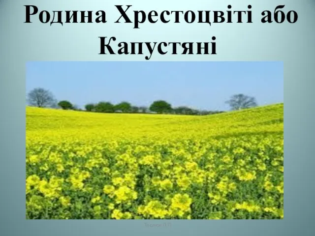 Родина Хрестоцвіті або Капустяні Теслюк Л.П