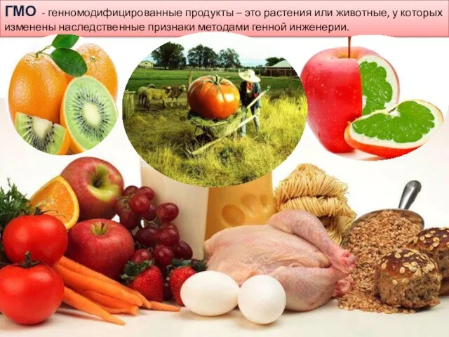 ГМО - генномодифицированные продукты – это растения или животные, у