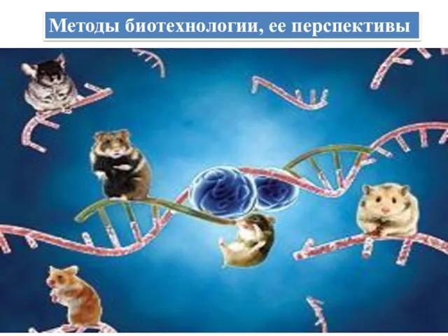 Методы биотехнологии, ее перспективы