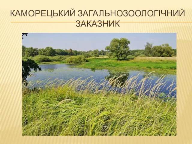 КАМОРЕЦЬКИЙ ЗАГАЛЬНОЗООЛОГІЧНИЙ ЗАКАЗНИК