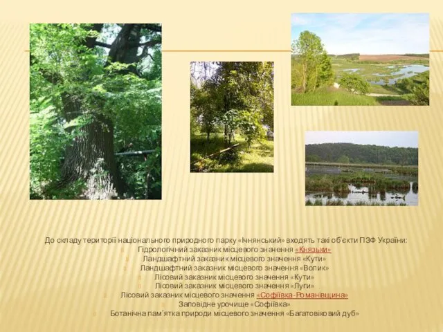 До складу території національного природного парку «Ічнянський» входять такі об'єкти ПЗФ України: Гідрологічний