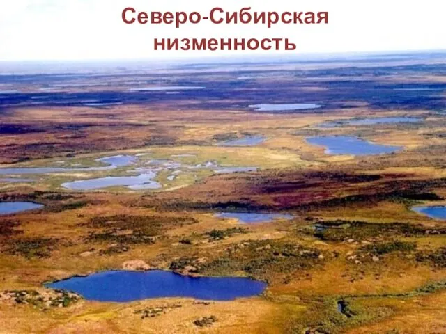 Северо-Сибирская низменность