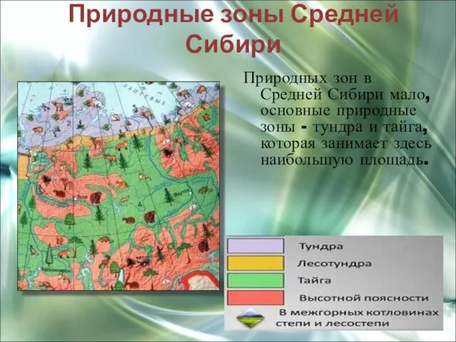 Природные зоны Средней Сибири Природных зон в Средней Сибири мало,