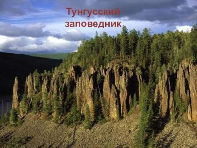 Тунгусский заповедник