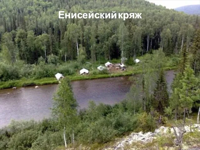 Енисейский кряж