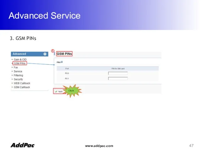 Advanced Service Click ① 3. GSM PINs