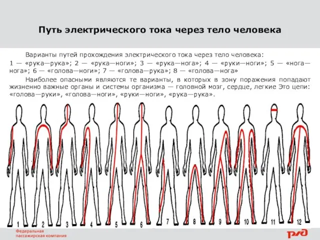 Путь электрического тока через тело человека Варианты путей прохождения электрического