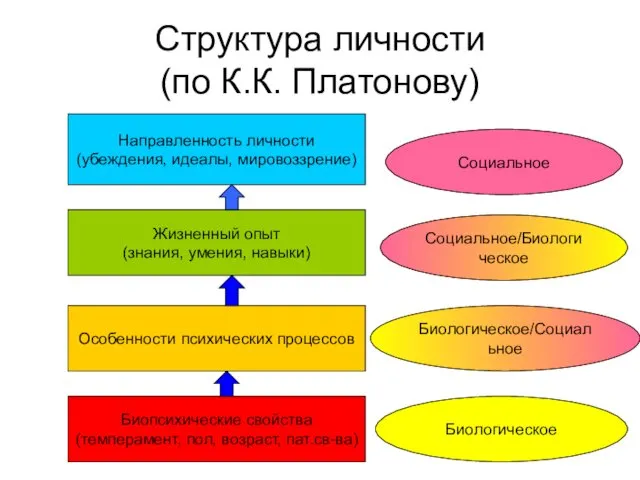 Структура личности (по К.К. Платонову) Направленность личности (убеждения, идеалы, мировоззрение)