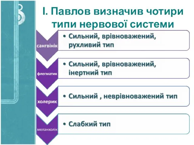 І. Павлов визначив чотири типи нервової системи