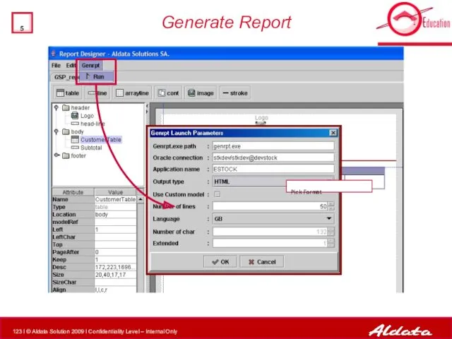 Generate Report Pick Format