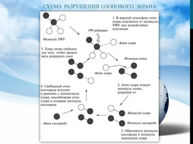 СХЕМА РАЗРУШЕНИЯ ОЗОНОВОГО ЭКРАНА