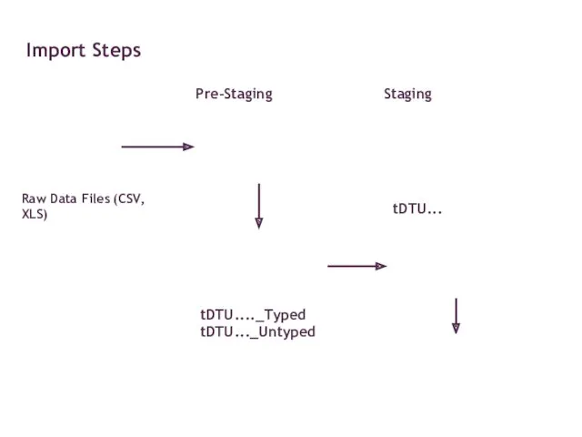 Import Steps Raw Data Files (CSV, XLS) tDTU...._Typed tDTU..._Untyped tDTU... Pre-Staging Staging