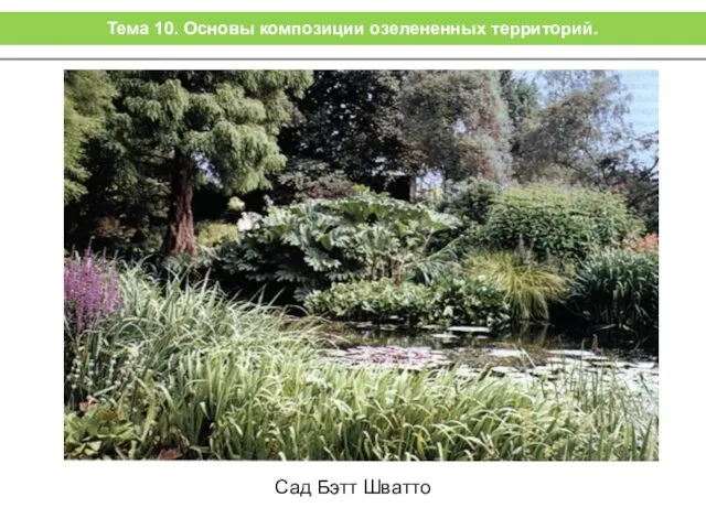 Сад Бэтт Шватто Тема 10. Основы композиции озелененных территорий.