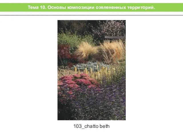103_chatto beth Тема 10. Основы композиции озелененных территорий.