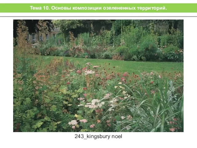 243_kingsbury noel Тема 10. Основы композиции озелененных территорий.