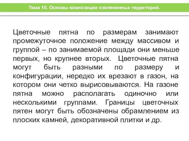 Цветочные пятна по размерам занимают промежуточное положение между массивом и