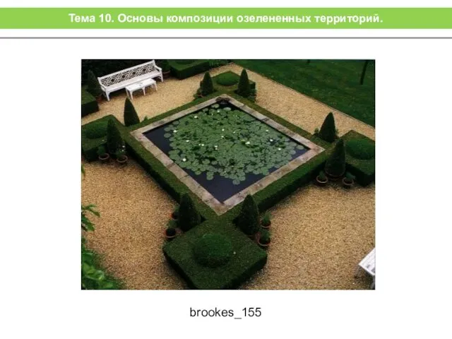 brookes_155 Тема 10. Основы композиции озелененных территорий.