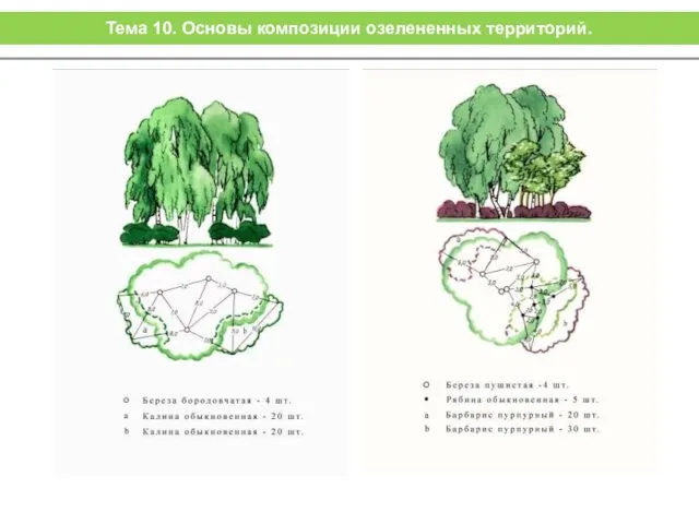 Тема 10. Основы композиции озелененных территорий.