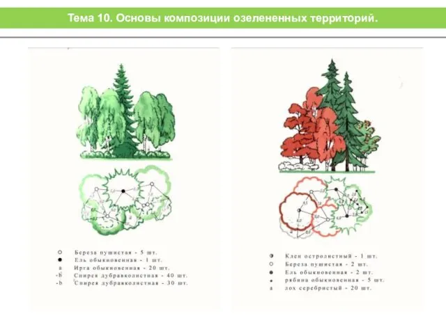 Тема 10. Основы композиции озелененных территорий.