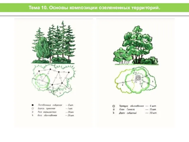 Тема 10. Основы композиции озелененных территорий.