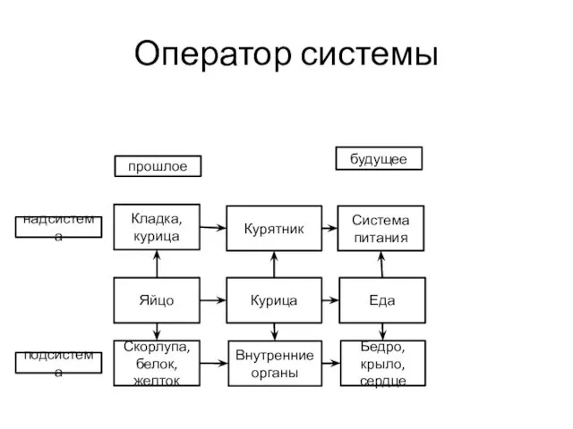 Оператор системы Бедро, крыло, сердце Внутренние органы Курица Курятник Еда