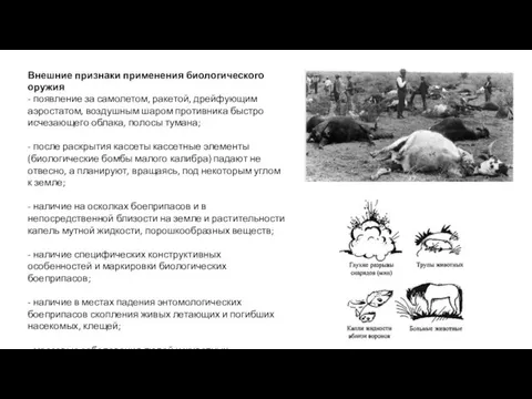 Внешние признаки применения биологического оружия - появление за самолетом, ракетой,