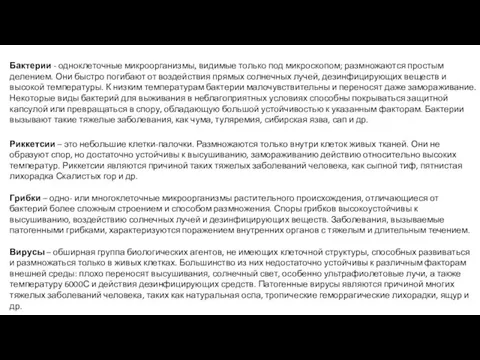 Риккетсии – это небольшие клетки-палочки. Размножаются только внутри клеток живых